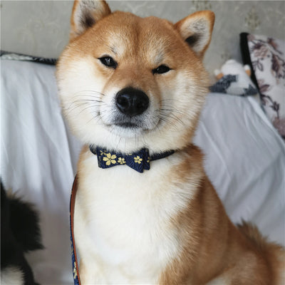 ペット用首輪リード