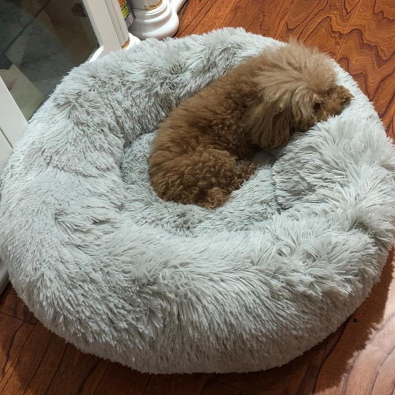 分厚い犬舎