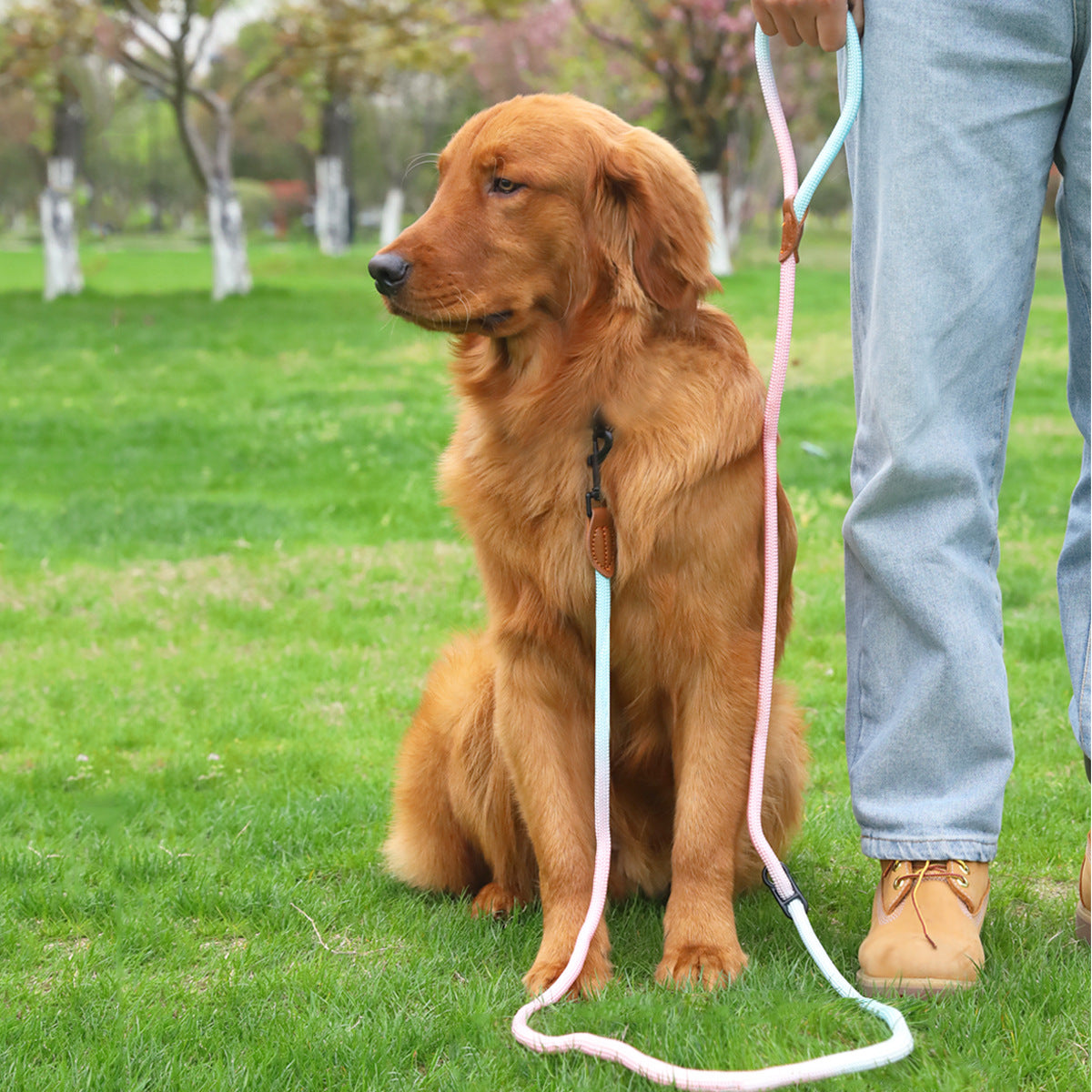 ペット犬猫散歩多目的反射手持ちリード