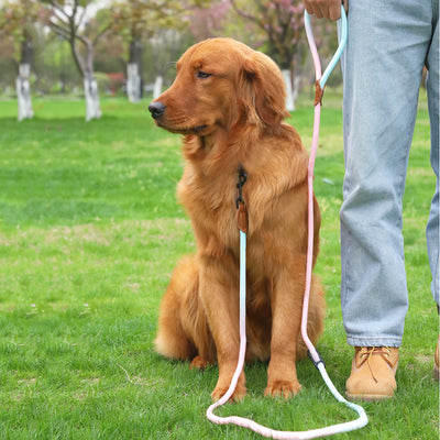 ペット犬猫散歩多目的反射手持ちリード