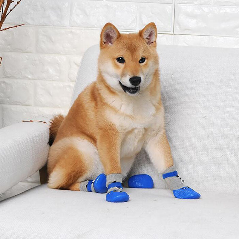 犬の散歩用シューズ