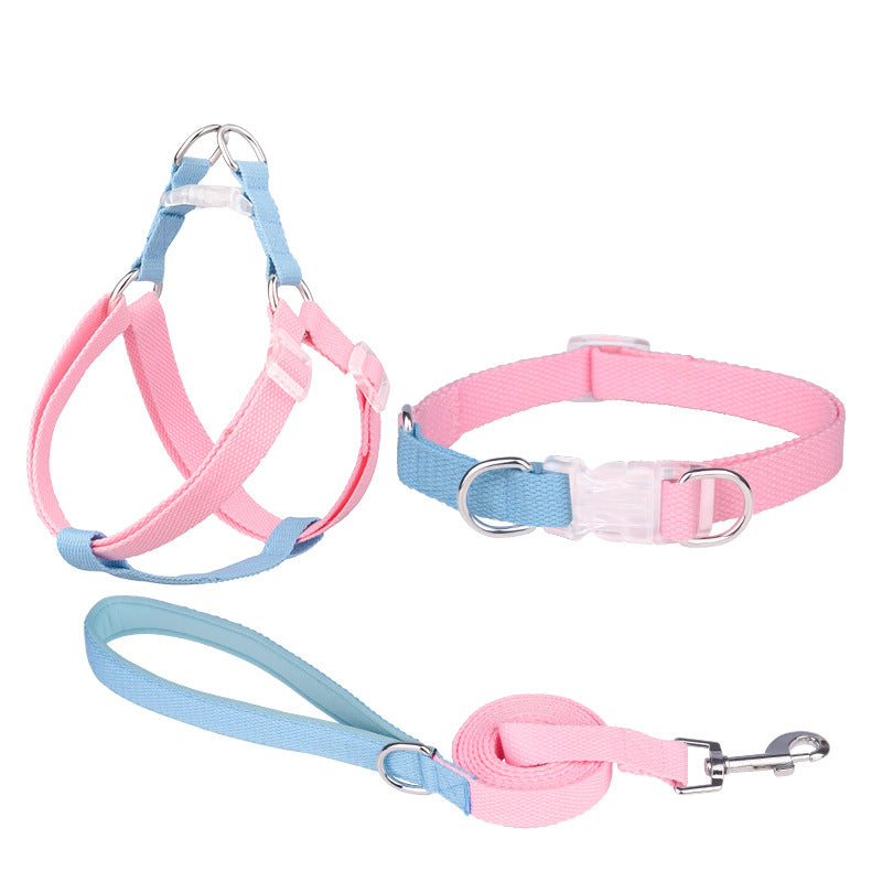 ポリエステルリボン犬用首輪ペット手持ちロープ