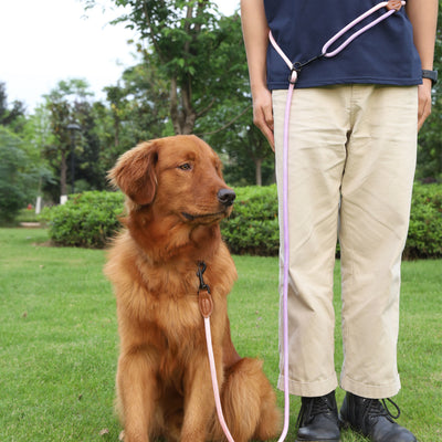 ペット犬猫散歩多目的反射手持ちリード