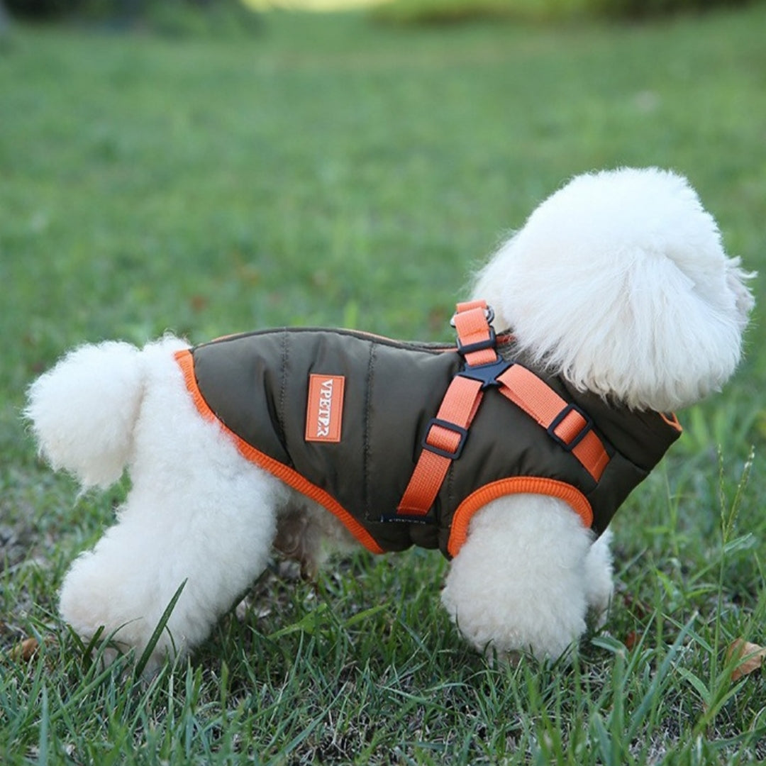 ペット用冬服 プラスベルベット 厚手 綿入り 防寒 犬用ベスト 二本足 小型犬 中型犬 スキースーツ