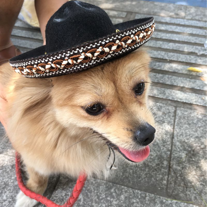メキシカンスタイルペット帽子 犬用帽子 ペット用品