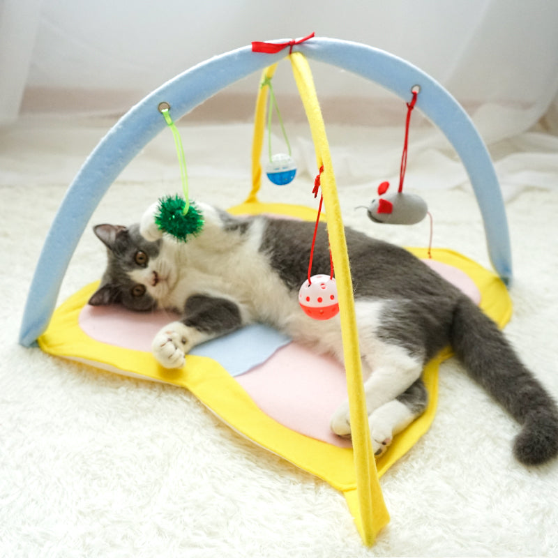 猫おもちゃ 面白い 猫じゃらし 面白い 猫のおもちゃセット 子猫のおもちゃ ペット用品