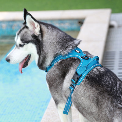 チェストストラップペット用品 爆発防止ベスト 犬用手持ちロープ