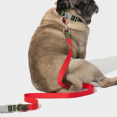 新しい犬用リード ロープ 快適 きつくない首輪