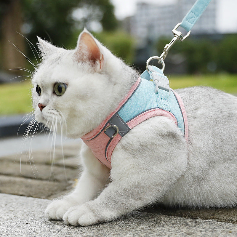 おしゃれな小型犬用ベストハーネスリードセット