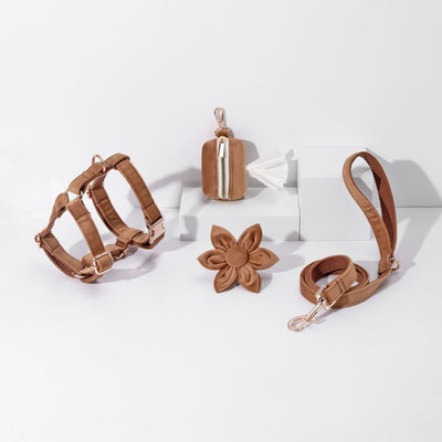 ペット犬レタリング首輪ウォーキングベルベット手持ちロープ