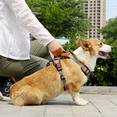 犬用ロープ付きベスト、犬用チェストストラップ