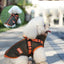 ペット用冬服 プラスベルベット 厚手 綿入り 防寒 犬用ベスト 二本足 小型犬 中型犬 スキースーツ