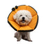 ペット用品 犬 介護用品 エリザベスカラー