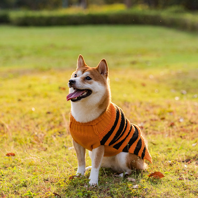 ハロウィン 犬用セーター ペットコスチューム テディ ウォームレジャーセーター コスプレ服 犬 猫用