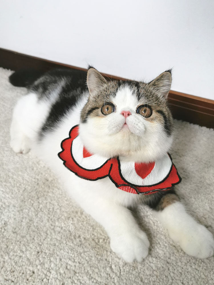 ペット用首輪