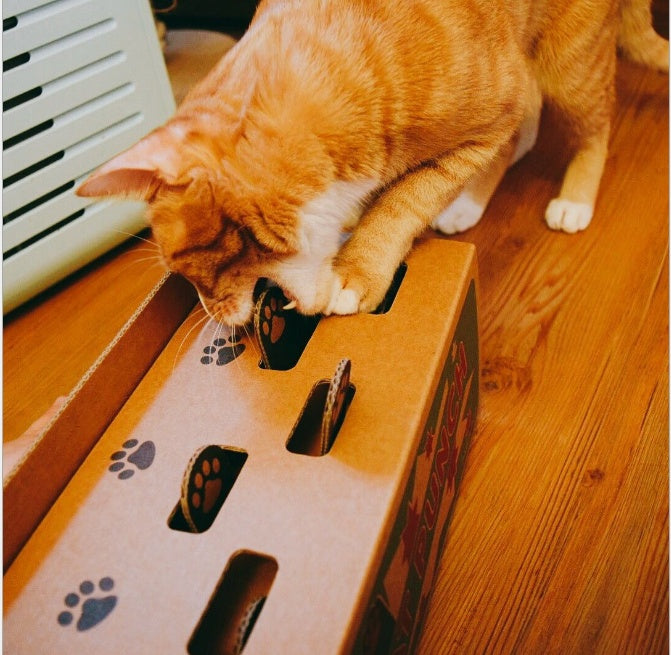 猫のおもちゃ ハムスター 段ボール 猫用おもちゃ 面白い 猫のおもちゃ ペット用おもちゃ 紙