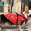 小型犬用ペット服 冬用暖かドッグパーカーコートジャケット チワワ パグ服 子犬 猫用衣類