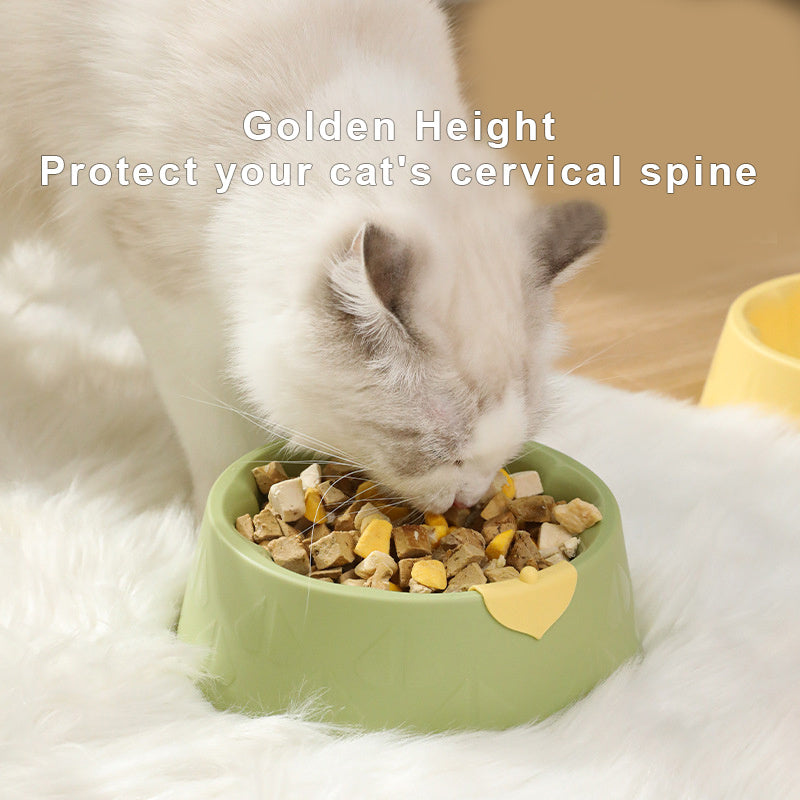 プラスチック製ペットボウル 犬猫用食器 室内用 ペットダブルボウル ドッグフード ウォーターフィーダー 猫 小型犬用 大容量ボウル