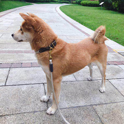 新犬ハンドホールドロープ小型中型犬用かわいいリード