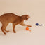 猫 おもちゃ 猫じゃらし 噛み砕くおもちゃ 猫用おもちゃ ボール またたびセット 子猫 ペット
