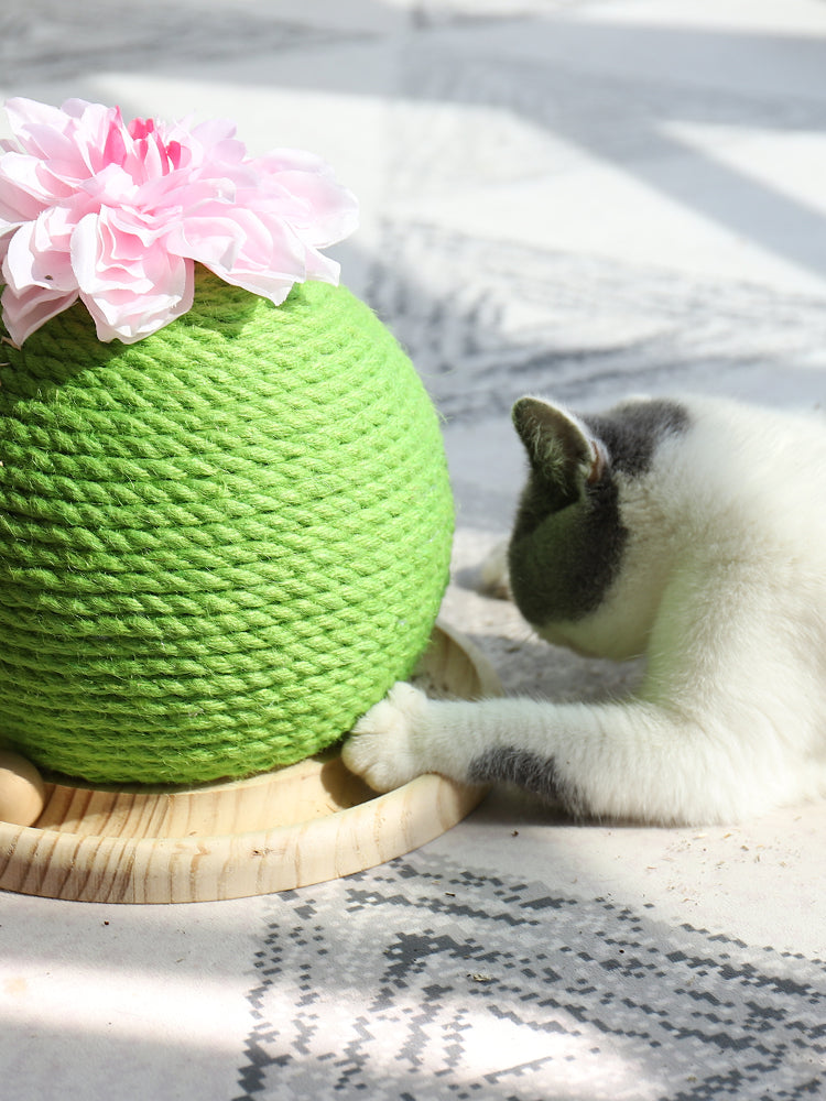 猫用爪とぎおもちゃ