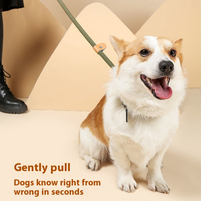 犬の散歩トレーニング用手持ちロープ