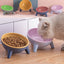 スタンド付き猫犬用ボウル ペット用給餌食器 犬ウサギ用北欧カラーフィーダー ペット用品