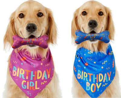 ペット 三角スカーフ 犬 誕生日 おもちゃ 骨 よだれかけ