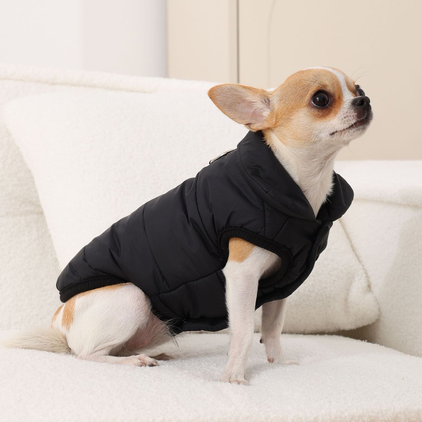 新ペットコート牽引犬服