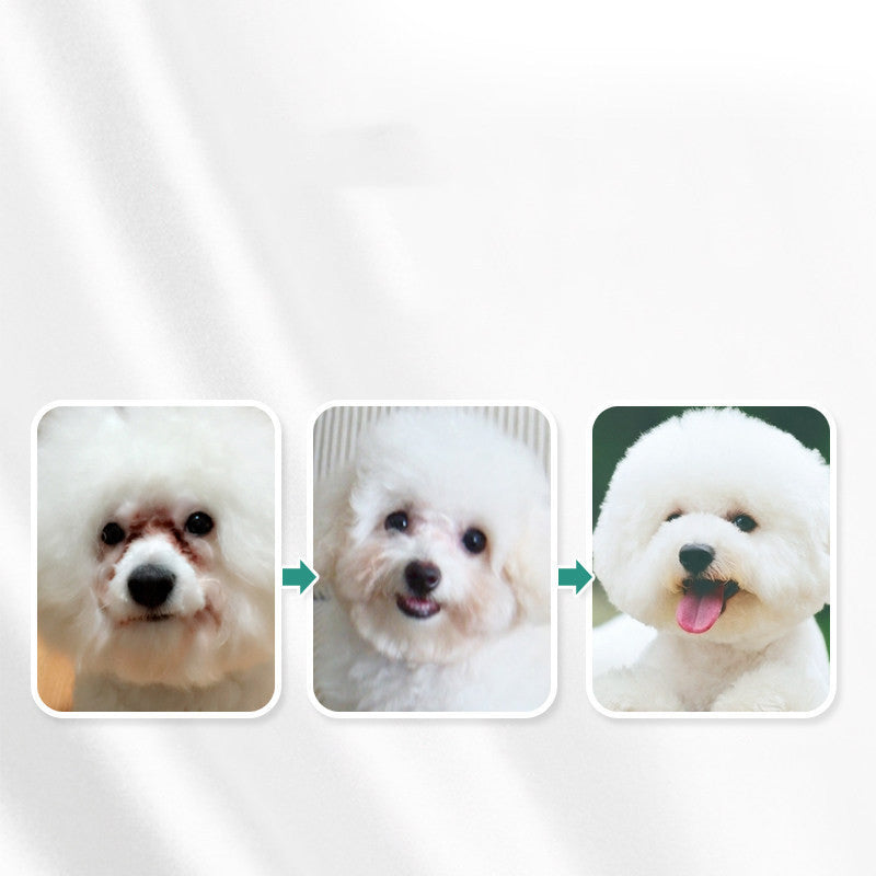 犬と猫の目のケアと洗浄