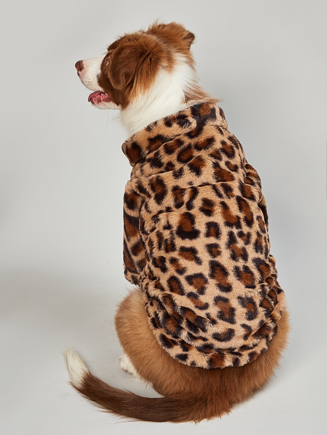 暖かいヒョウ柄犬用ジャケット
