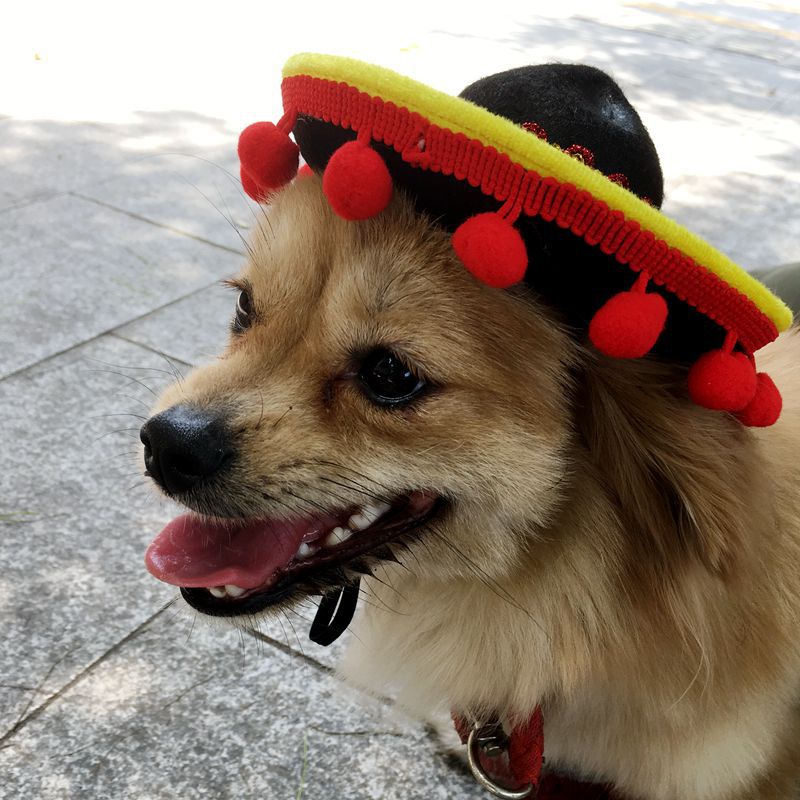 メキシカンスタイルペット帽子 犬用帽子 ペット用品