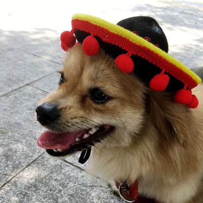 メキシカンスタイルペット帽子 犬用帽子 ペット用品