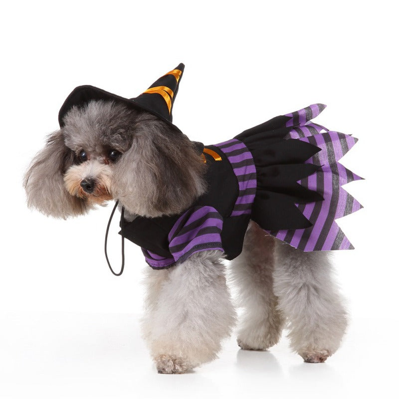 ハロウィン おもしろ代替ペットコスチューム