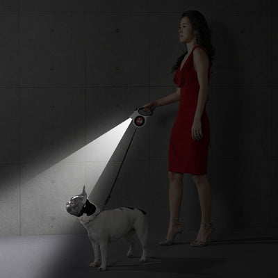 自動格納式猫牽引帯 犬用リード 5m ペット用品