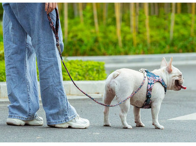 屋外ペット犬花柄丸型手持ちリード
