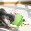 猫用爪とぎおもちゃ
