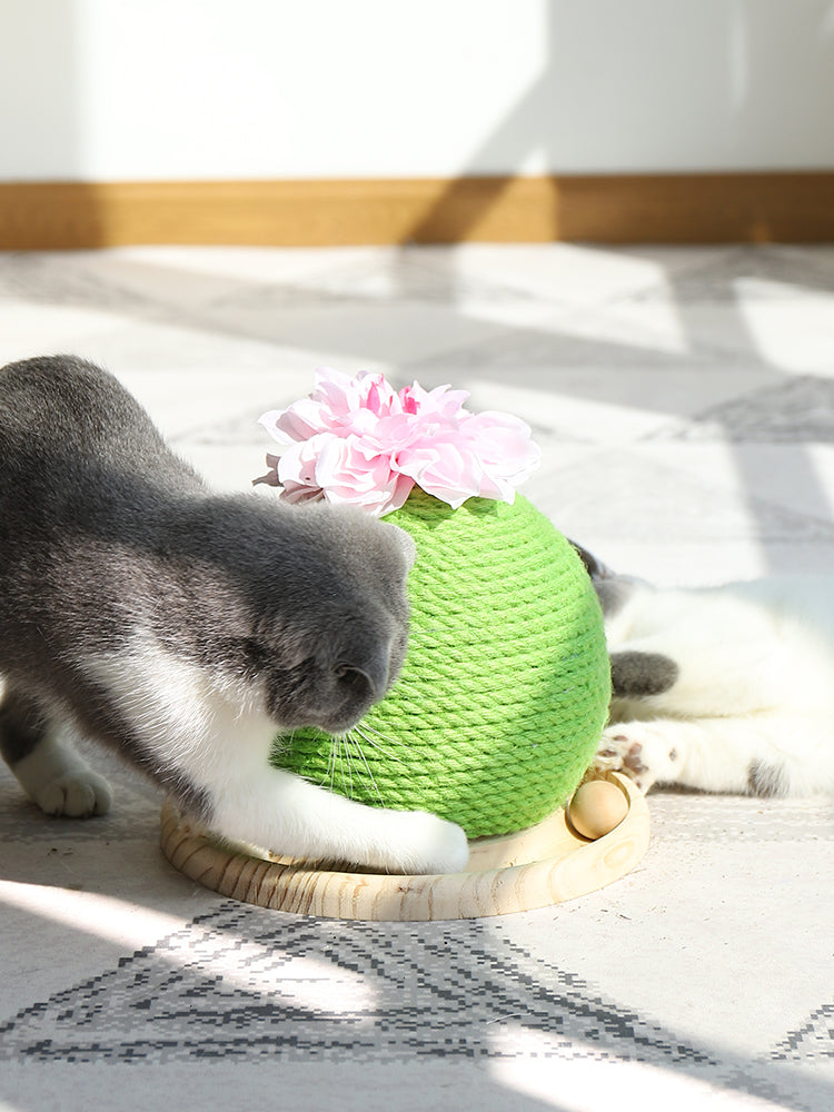 猫用爪とぎおもちゃ