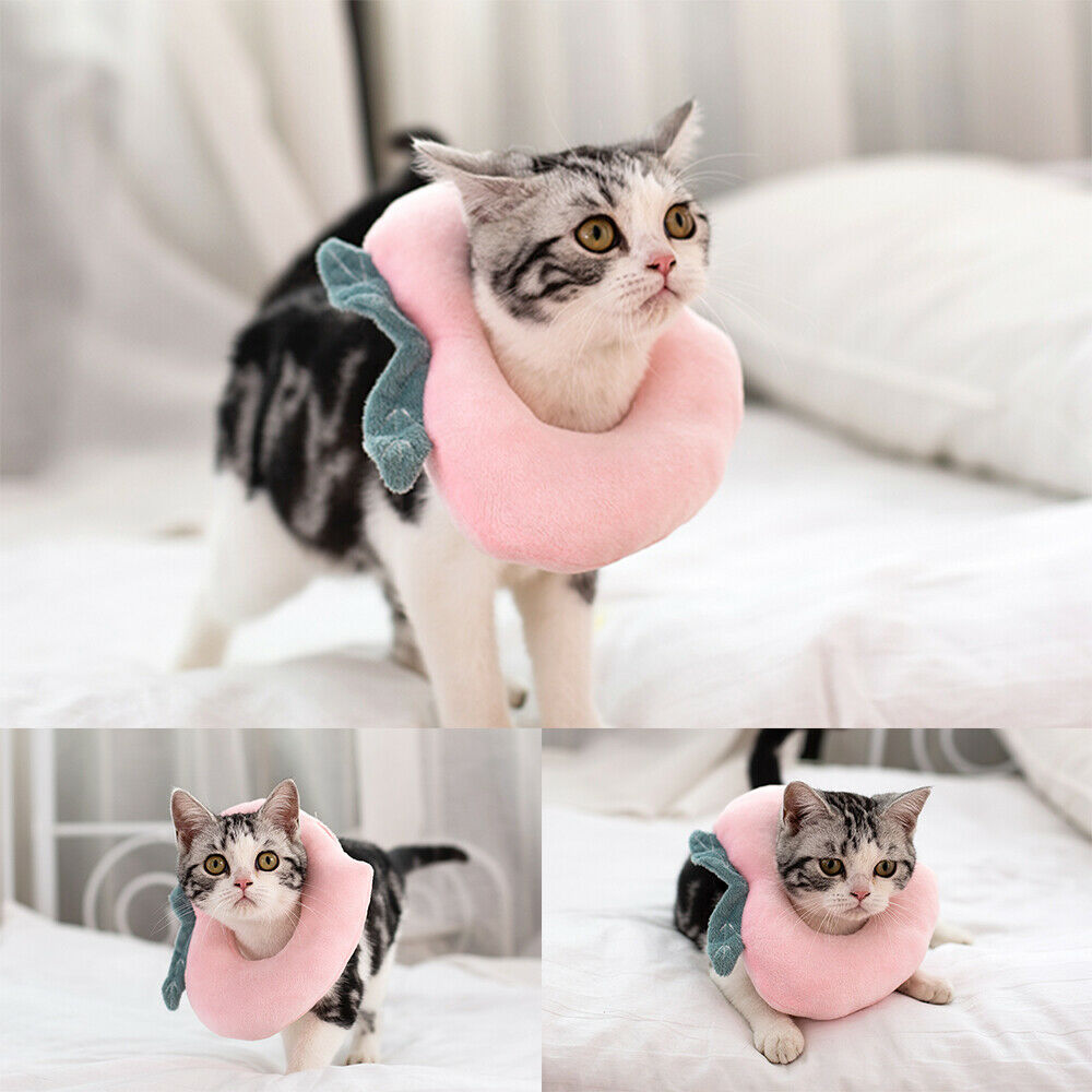 猫用エリザベスカラー、手術後の傷口保護、回復用ソフトレモン型猫用回復首輪、調節可能、子猫と子犬に