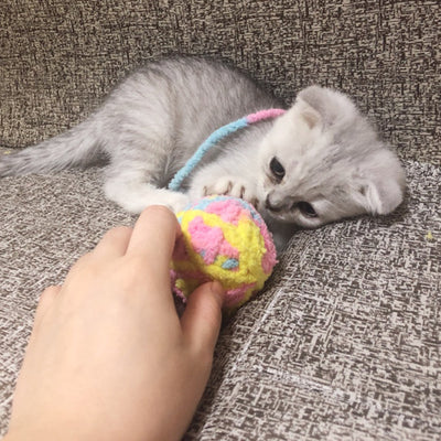 毛糸玉 猫のおもちゃ 面白い猫の棒
