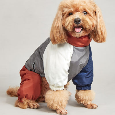 ペット冬カラーマッチング綿入れ服 犬 中型大型犬用 暖かく快適