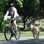 自転車犬散歩用手持ちリード