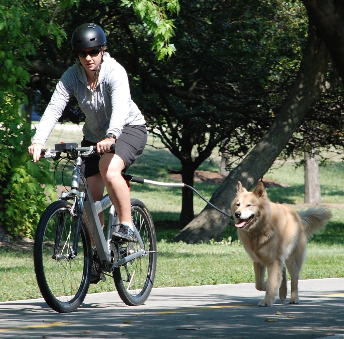 自転車犬散歩用手持ちリード