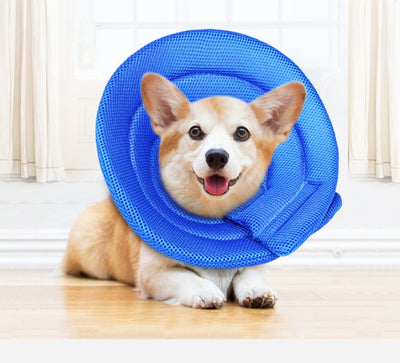 ペット用エリザベスカラー 漫画犬用クリーナーガードエリザベスサークルペットカラー