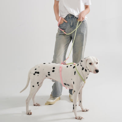 無地ファッション犬用ハンドロープ、屋外犬用リード、PVCペット用ハンドロープ