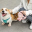 自動格納式犬用手持ちリード（LEDライト付き）