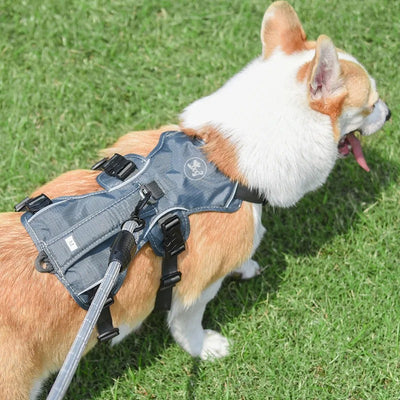犬用首輪一体型リード反射式防爆型