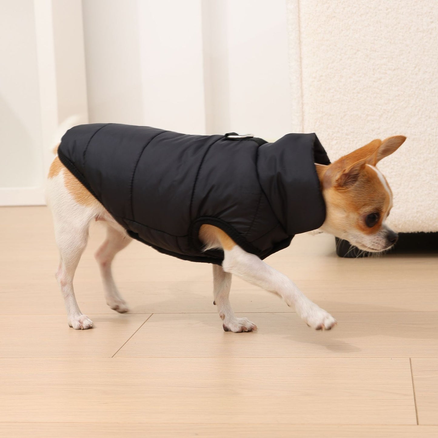 新ペットコート牽引犬服