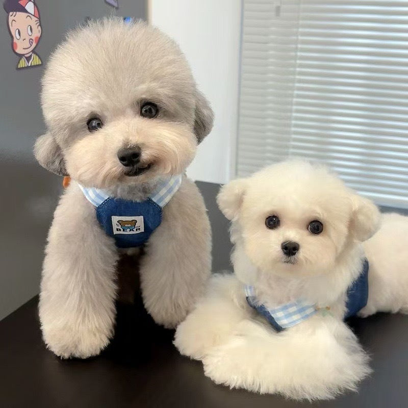 春秋ペット胸当てリード犬猫服