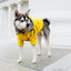 犬用レインコート ペット服 ドッグウェア 雨具